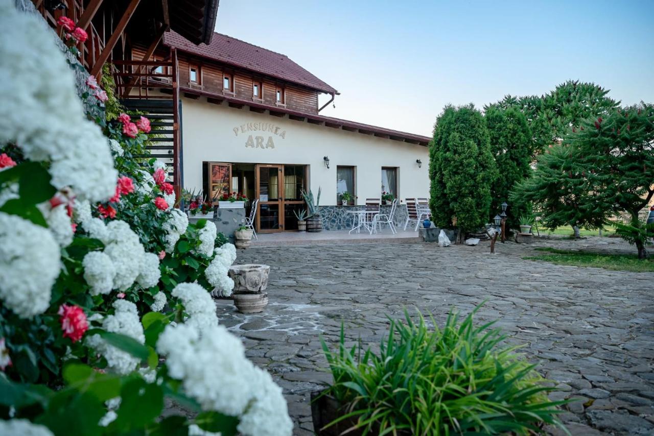 Pensiunea Ara Alba Iulia Exterior foto